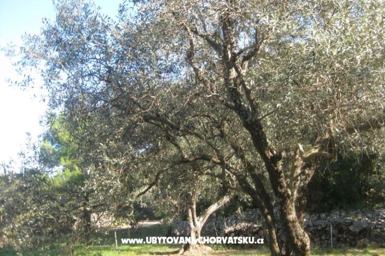 Apartmani Mratović – foto 14