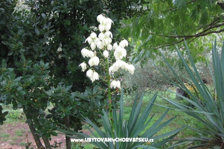 Apartmani Mratović – foto 17