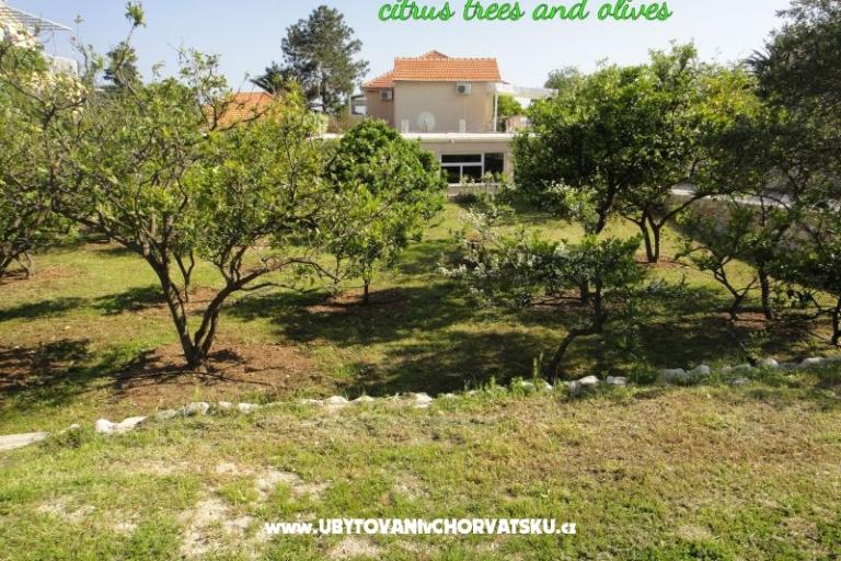 Apartmani Pretner – foto 14