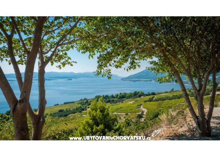 Apartmani Sveti Anton Orebic – foto 10