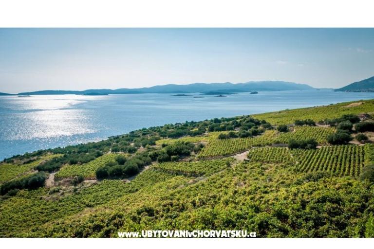 Apartmani Sveti Anton Orebic – foto 12