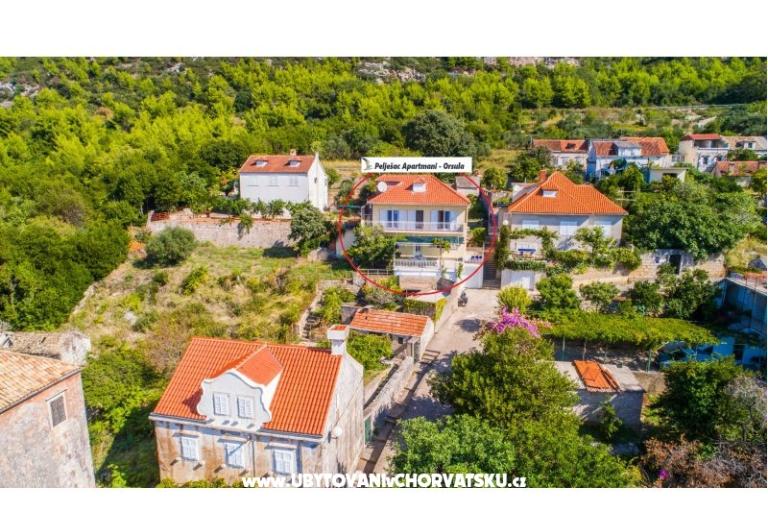 Pelješac Apartmani -Orsula  – foto 4
