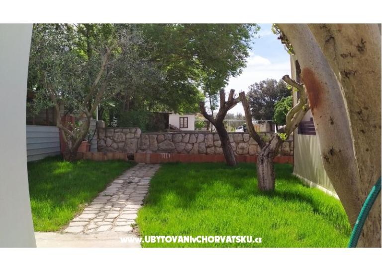 Apartmani Andreja – foto 12