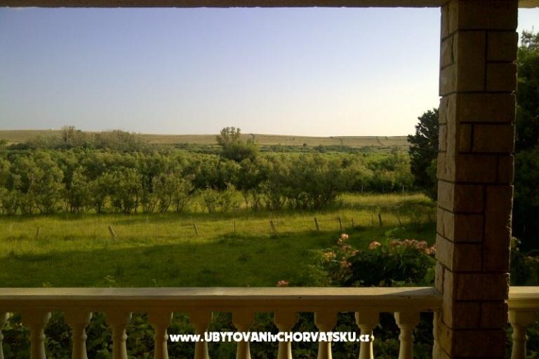 Apartmani Ćurić Povljana – foto 3