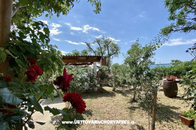 Apartmani FRANE – foto 24