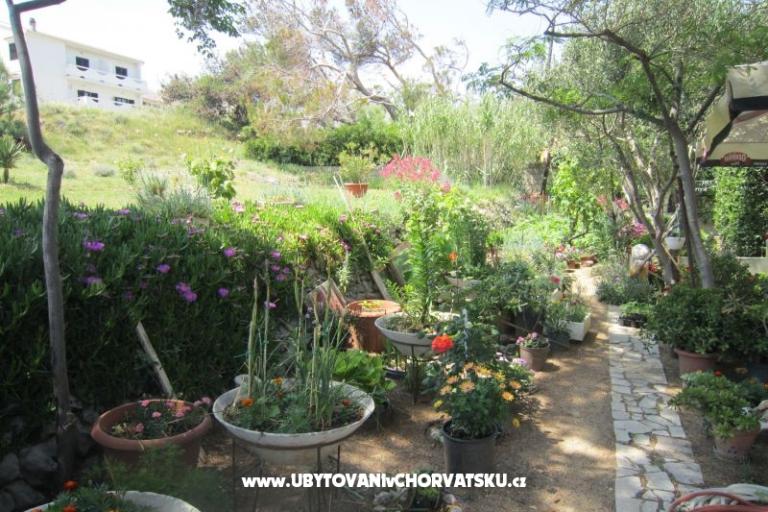 Apartmani Mediteran Pag – foto 10