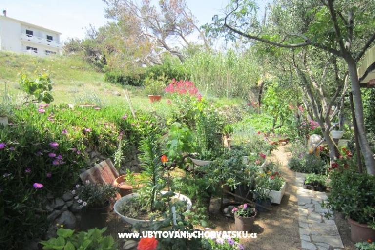 Apartmani Mediteran Pag – foto 11