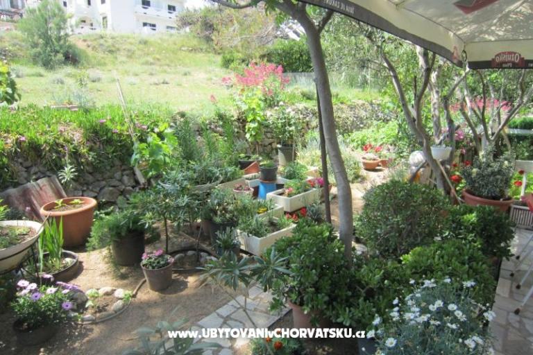 Apartmani Mediteran Pag – foto 8