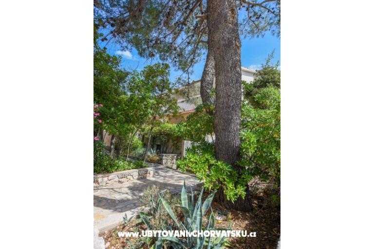 Apartmani Oleandra – foto 12