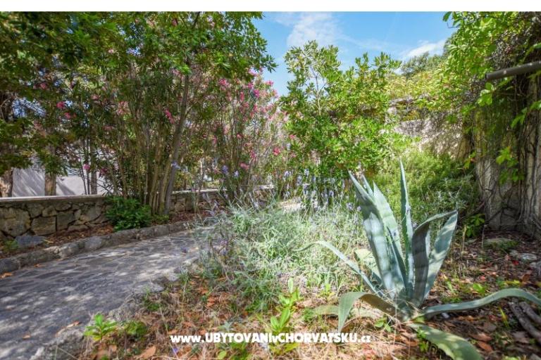 Apartmani Oleandra – foto 6