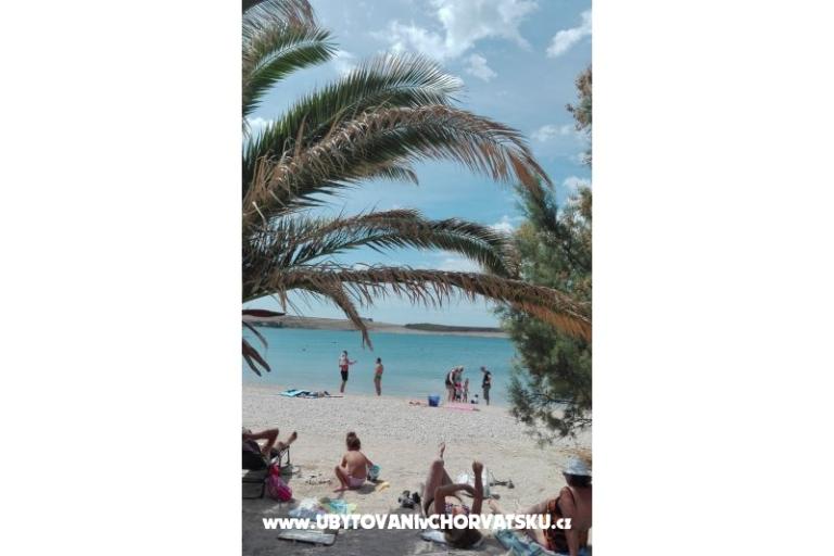 Apartmani Petra – foto 4