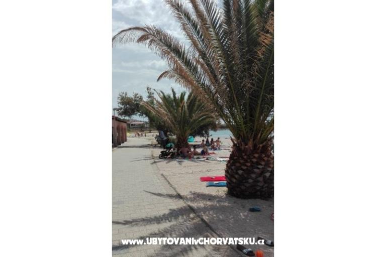 Apartmani Petra – foto 6