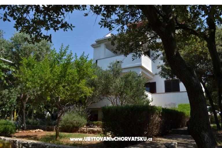 Apartmani Salvia island Pag Mandre – foto 14