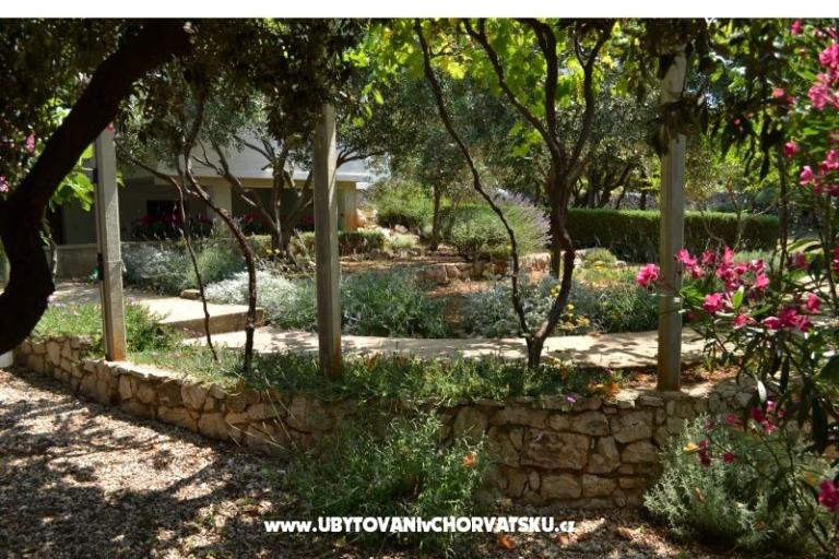 Apartmani Salvia island Pag Mandre – foto 15