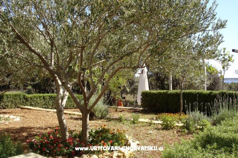 Apartmani Salvia island Pag Mandre – foto 18