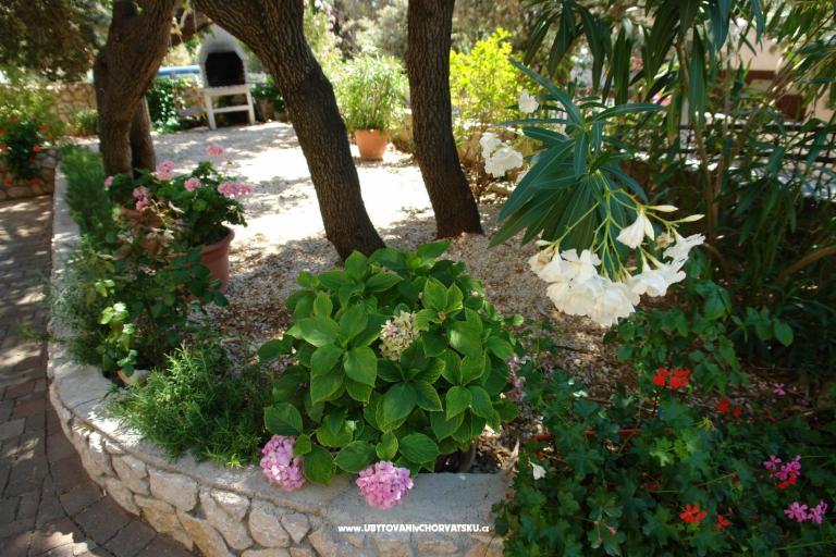 Apartmani Josipa – foto 6