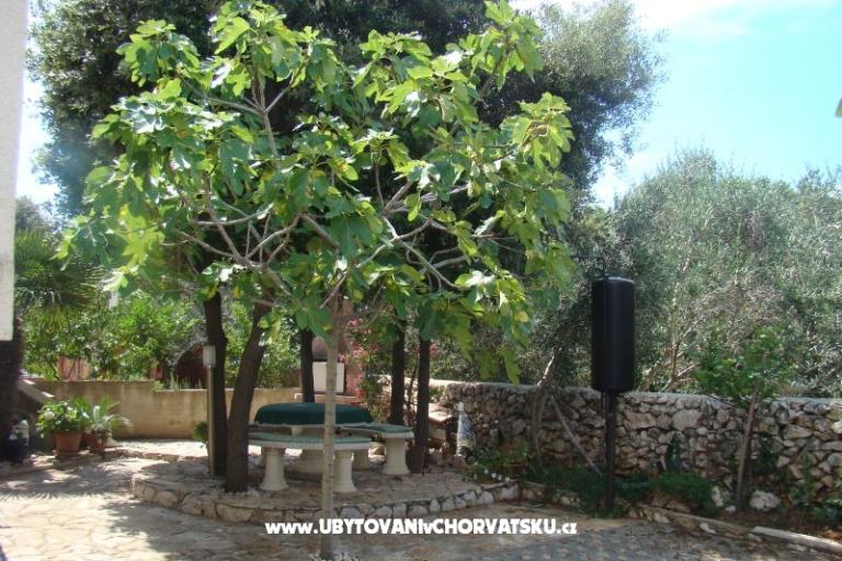 Apartmani Mandre – foto 2