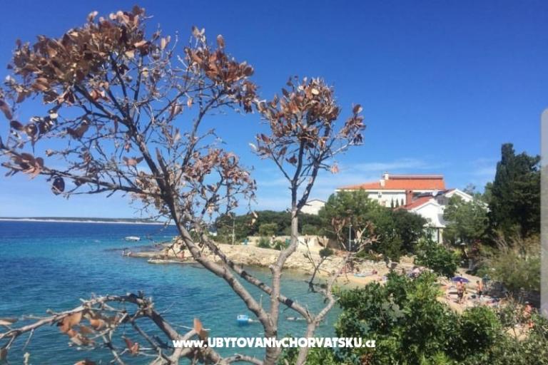 Apartmani Mandre – foto 6