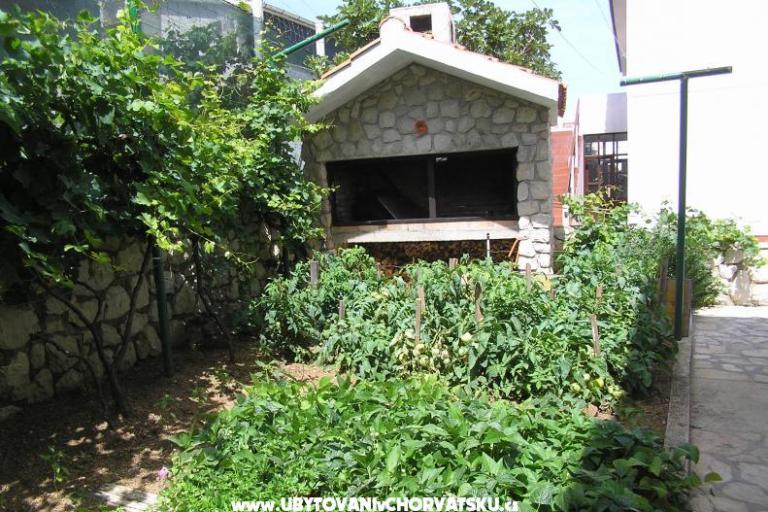 Apartmani Pavičić Marija Pag – foto 4