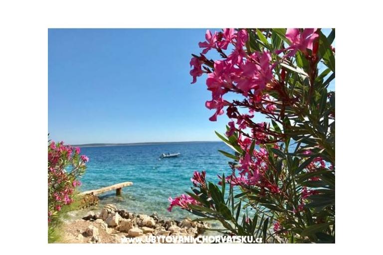 Apartmani Villa Ana – foto 16