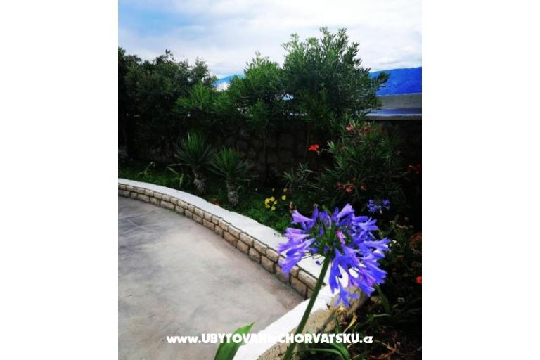 Family Apartmani K&M – foto 15