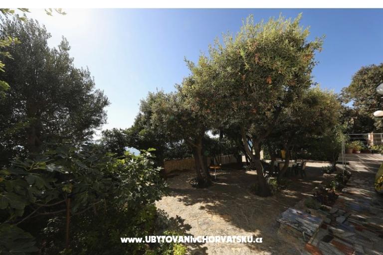 Horizonte Apartman – foto 20