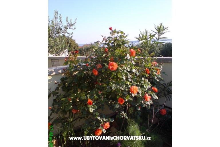 Marea Apartmani Mandre – foto 6