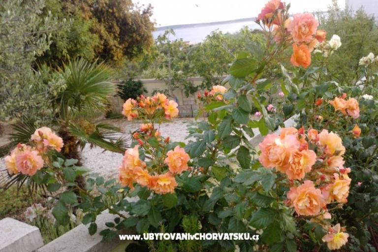 Marea Apartmani Mandre – foto 8