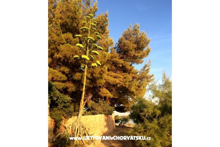 Apartmani Cvekan – foto 16