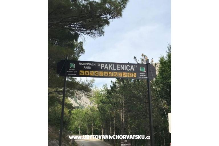 Apartmani Merion – foto 8