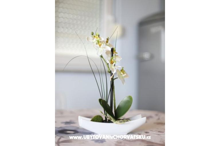 Apartmani Tica – foto 16