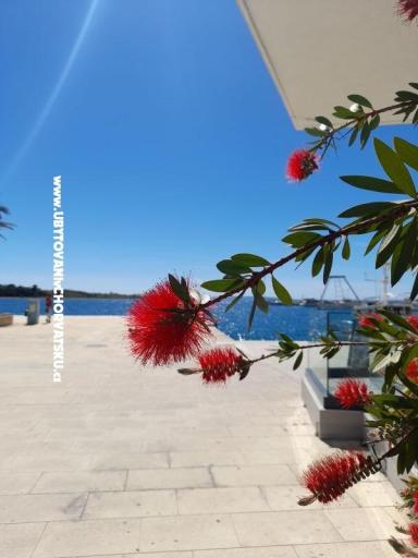 Apartmani Tomic – foto 10