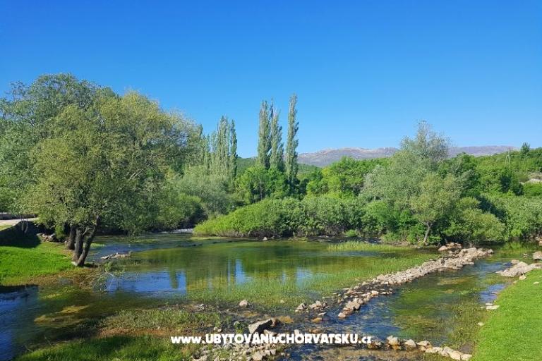 Apartmani Tomic – foto 3