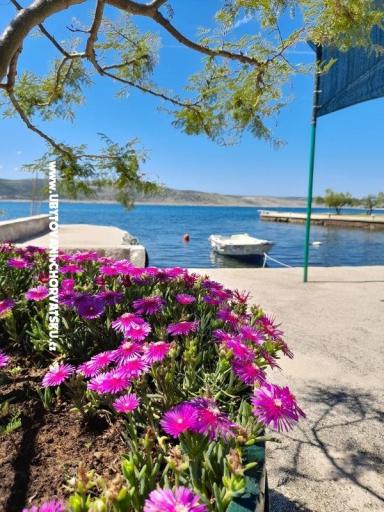 Apartmani Tomic – foto 8