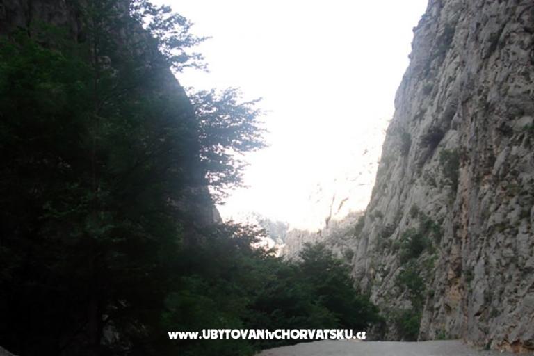 Apartmani vesela – foto 5