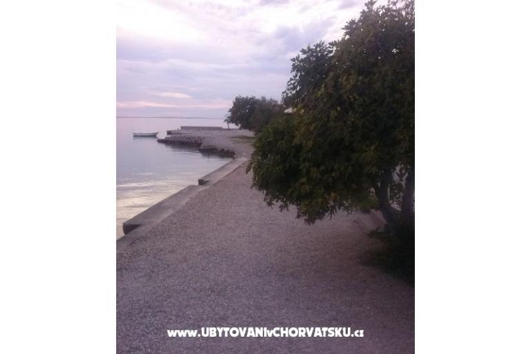 Apartmani Vitrenik – foto 9
