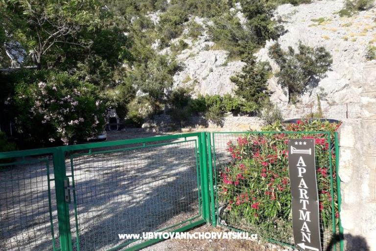 Kuća za odmor Beli – foto 15