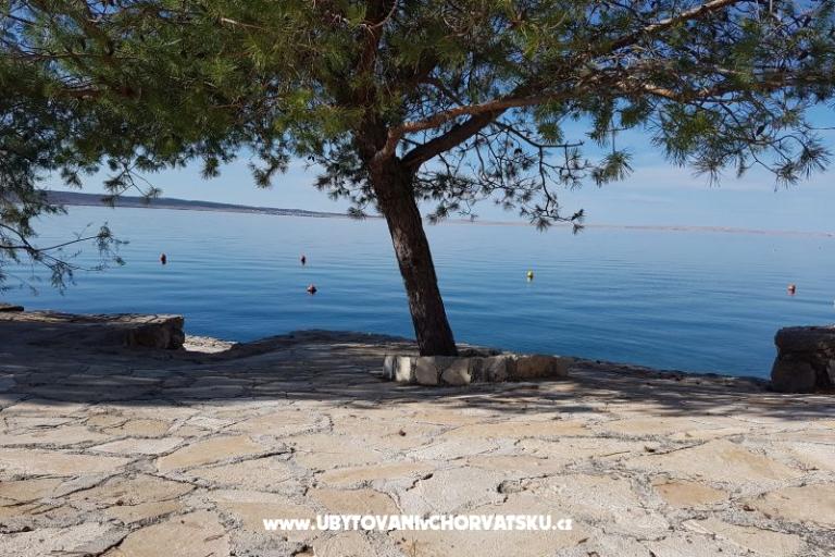 Apartmani Bosi i Goli – foto 15
