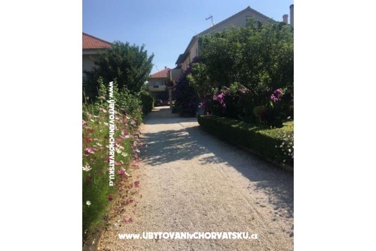 Apartmani Jasa  – foto 11