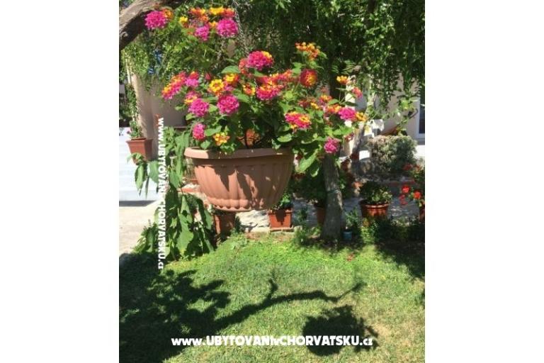 Apartmani Jasa  – foto 15