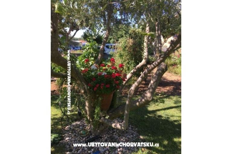 Apartmani Jasa  – foto 16