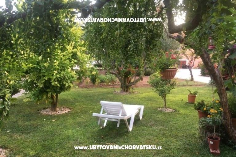 Apartmani Jasa  – foto 8