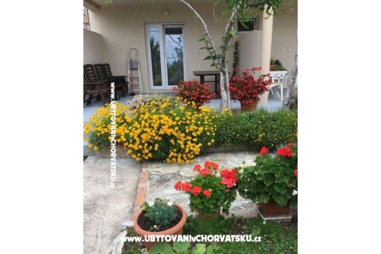 Apartmani Jasa  – foto 9