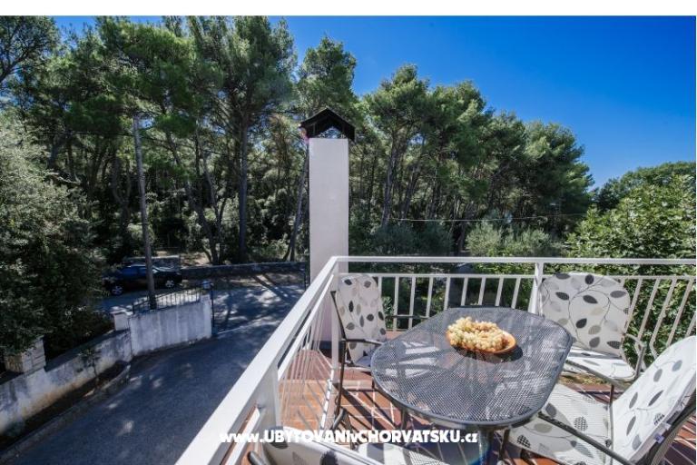 Apartmani Jelena – foto 8
