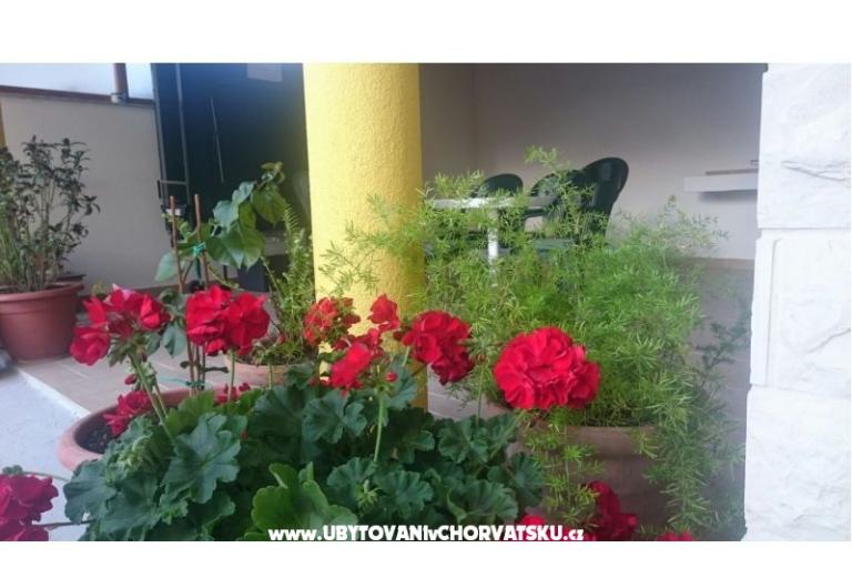Apartmani Lucija – foto 6