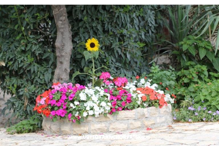 Apartmani Mamić – foto 17