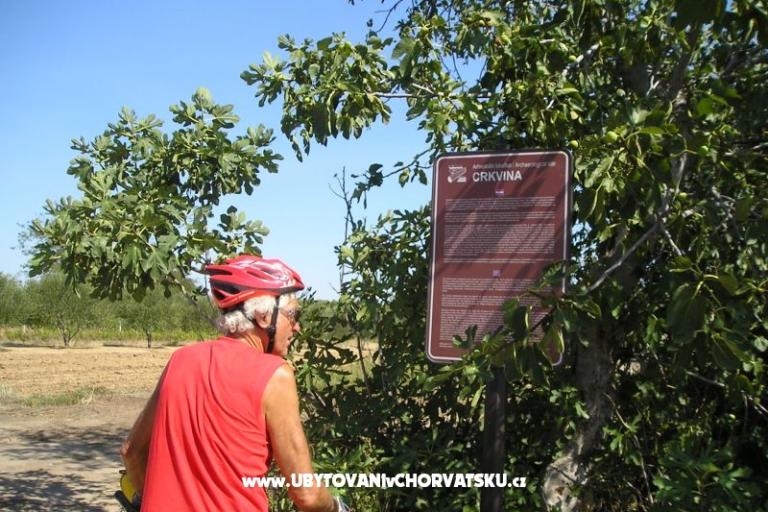 Apartmani Mario – foto 17