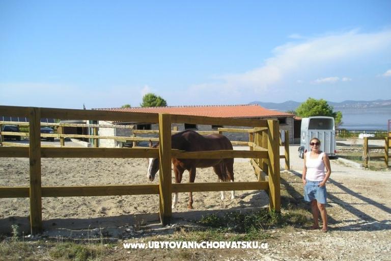 Apartmani Mario – foto 18