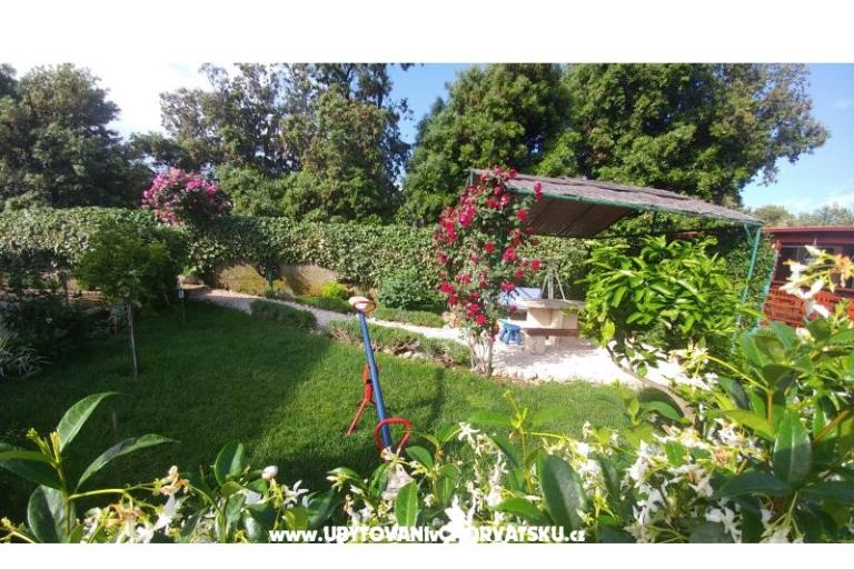 Apartmani Pipi – foto 8