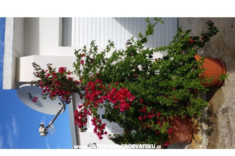 Apartmani Pipi – foto 12